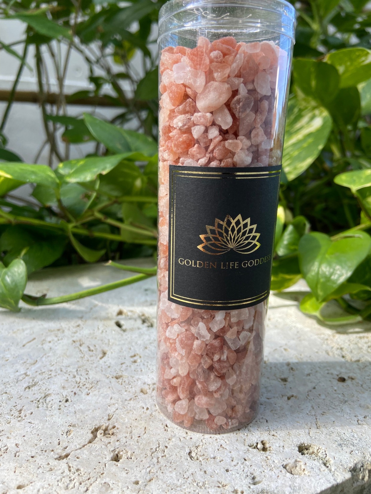 マグダラのマリア【Ecstasy】